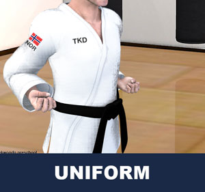 Taekwondo Uniform ( 도복 dobok )