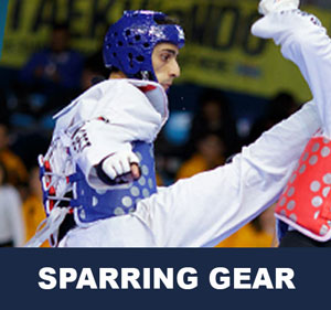 Taekwondo Sparring Gear