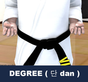 Taekwondo Black Belt Degree ( 단 dan )