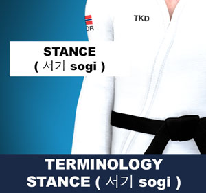 stance (sogi)