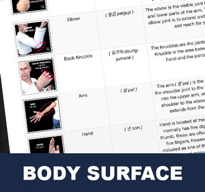 Body Surfaces | Korean Language and Terminology