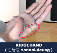 Ridgehnad ( 손날등 sonnal-deung )