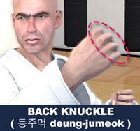 Back Knuckle ( 등주먹 deung-jumeok )