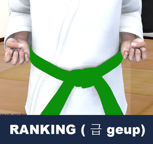 Ranking ( 급 geup )