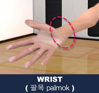 Wrist Area ( 팔목 palmok )