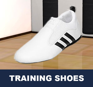 Taekwondo Training Shoes