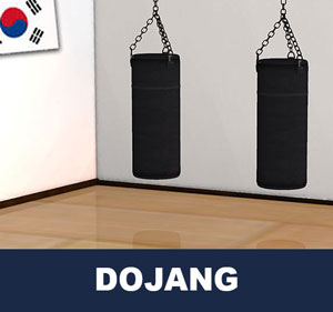 Dojang is a term used in Korean martial arts, such as taekwondo, Kuk Sool Won, and hapkido, that refers to a formal training hall