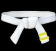 Yellow Stripe Belt