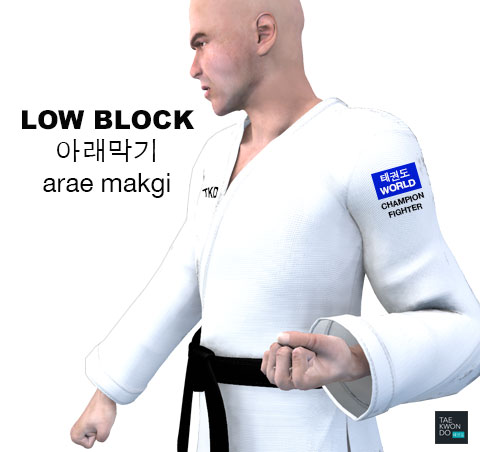 Taekwondo Low Block ( 아래막기 arae makgi )