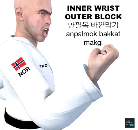 Inner Wrist Outer Block ( 안팔목 바깥막기 anpalmok-bakkat-makgi )