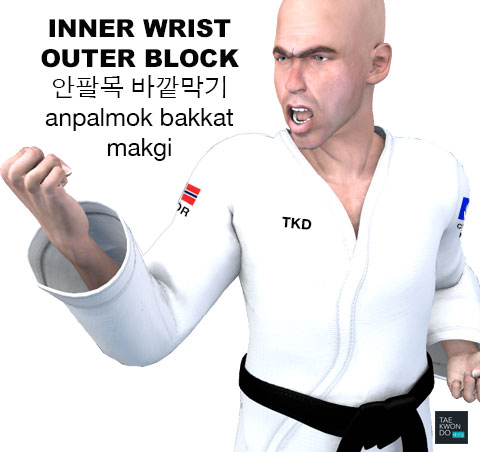 Inner Wrist Outer Block ( 안팔목 바깥막기 anpalmok bakkat makgi )