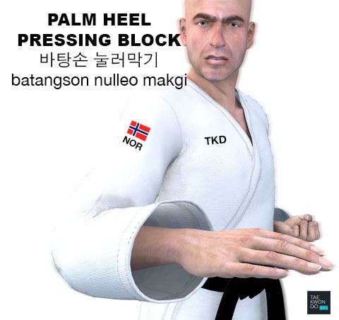 Palm Heel Pressing Block ( 바탕손 눌러막기 batangson nulleo makgi )