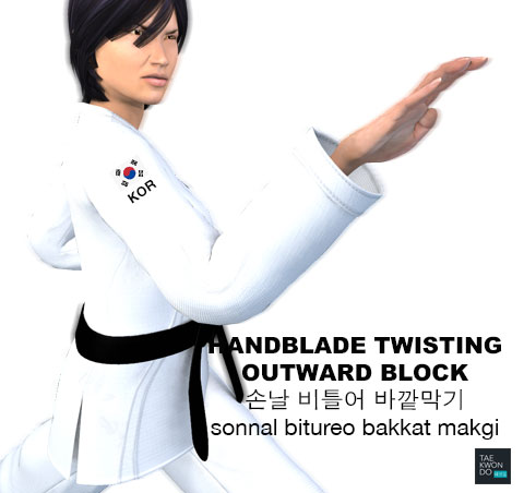 Hand Blade Twisting Outward Block ( 손날 비틀어 바깥막기 Sonnal bitureo bakkat makgi )