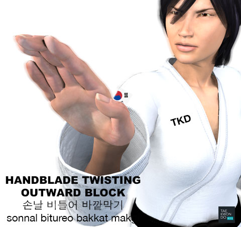 Hand Blade Twisting Outward Block ( 손날 비틀어 바깥막기 Sonnal bitureo bakkat makgi )