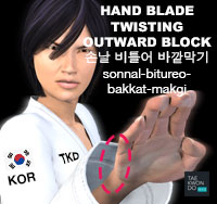 Hand Blade Twisting Outward Block ( 손날 비틀어 바깥막기 sonnal-bitureo-bakkat-makgi )