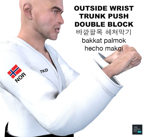 Outside Wrist Double Block ( 바깥팔목 헤쳐막기 bakkat palmok hecho makgi )