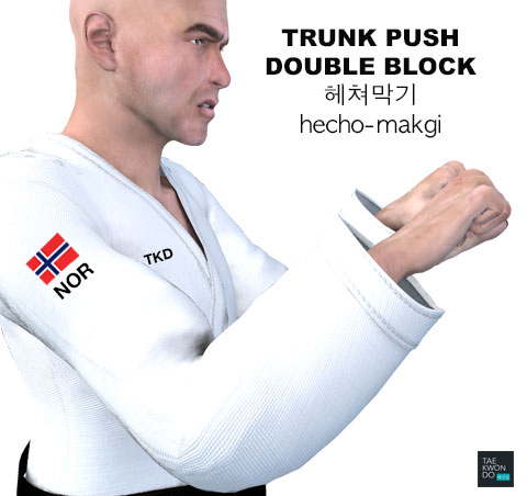 Trunk Push Double Block ( 헤쳐막기 hecho-makgi )