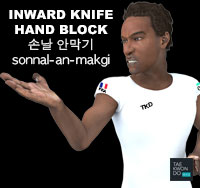 Inward Knife Hand Block ( 손날 안막기 sonnal-an-makgi )