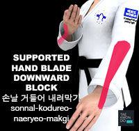 Supported Hand Blade Downward Block ( 손날 거들어 내려막기 sonnal-kodureo-naeryeo-makgi )