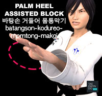 Palm Heel Assisted Block ( 바탕손 거들어 몸통막기 batangson-kodureo-momtong-makgi )