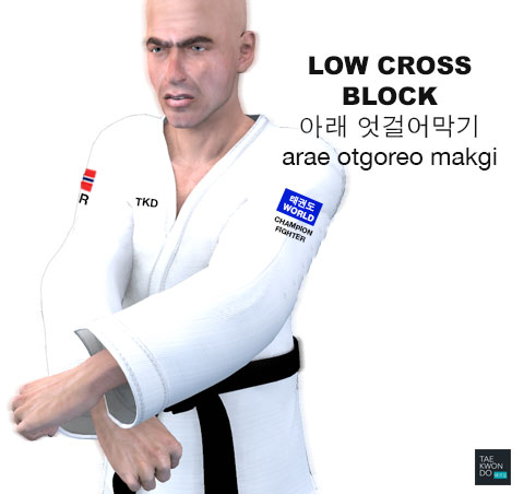 Low Cross Block ( 아래 엇걸어막기 arae-otgoreo-makgi )