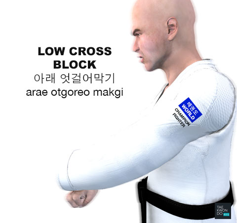 Low Cross Block ( 아래 엇걸어막기 arae otgoreo makgi )