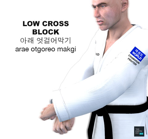 Low Cross Block ( 아래 엇걸어막기 arae-otgoreo-makgi )