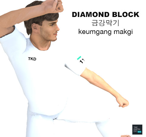 Diamond Block ( 금강막기 keumgang-makgi )