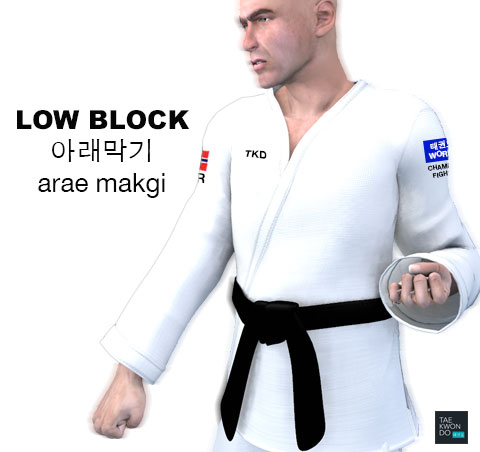 Low Block ( 아래막기 arae makgi )