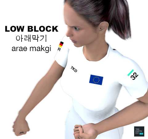 Low Block ( 아래막기 arae makgi )