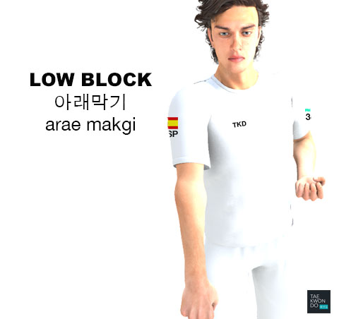 Low Block ( 아래막기 arae makgi )