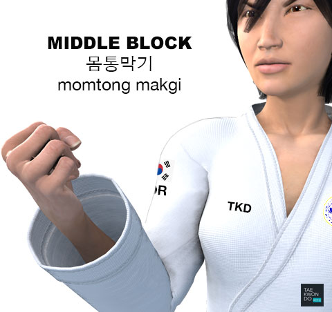 Taekwondo Middle Block ( 몸통막기 momtong makgi )