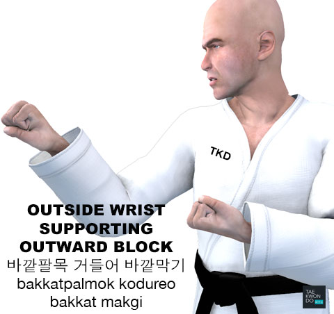 (Outside Wrist) Supporting Outward Block ( (바깥팔목) 거들어 바깥막기 (bakkatpalmok) kodureo bakkat makgi )