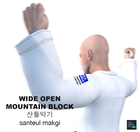 Wide Open Mountain Block ( 산틀막기 santeul-makgi )