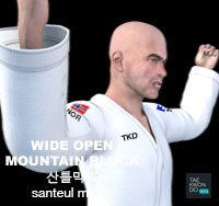 Wide Open Mountain Block ( 산틀막기 santeul-makgi )