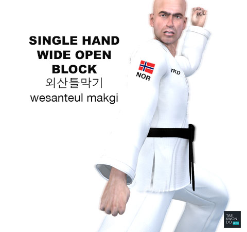 Single Hand Wide Open Blocking ( 외산틀막기 Wesanteul makgi )