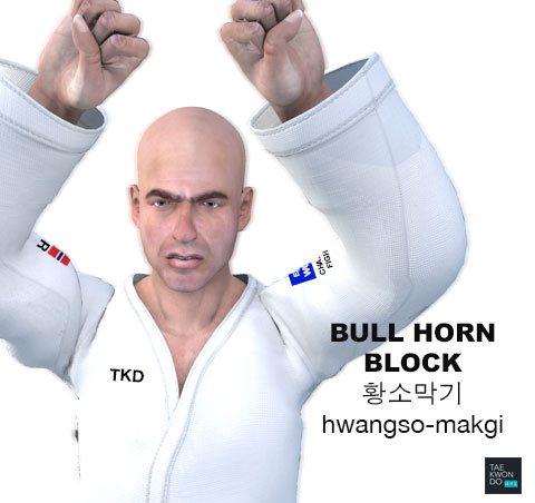 Bull Horn Blocking ( 황소막기 Hwangso-makgi )