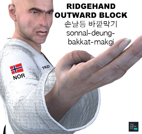 Ridgehand Outward Block ( 손날등 바깥막기 sonnal-deung-bakkat-makgi )