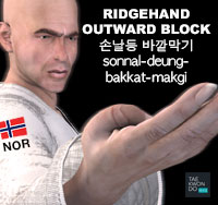 Ridgehand Outward Block ( 손날등 바깥막기 sonnal-deung-bakkat-makgi )