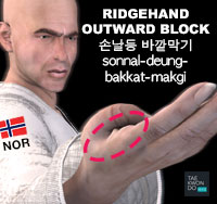 Ridgehand Outward Block ( 손날등 바깥막기 sonnal-deung-bakkat-makgi )