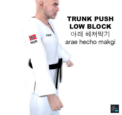 Trunk Push Low Block ( 아래 헤쳐막기 arae hecho makgi )