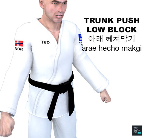 Trunk Push Low Block ( 아래 헤쳐막기 arae hecho makgi )