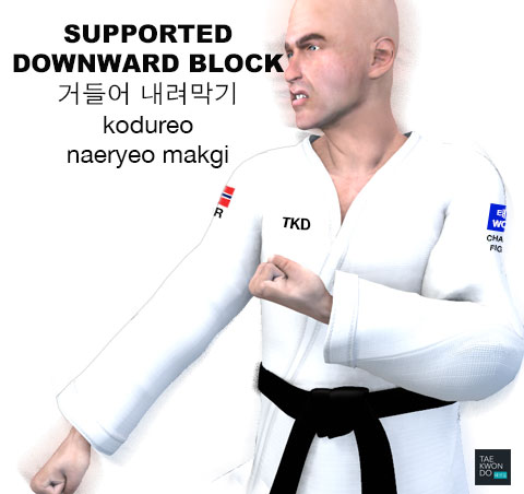 Supported Downward Blocking ( 거들어 내려막기 kodureo naeryeo makgi )