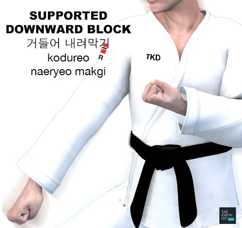 Supported Downward Blocking ( 거들어 내려막기 kodureo naeryeo makgi )