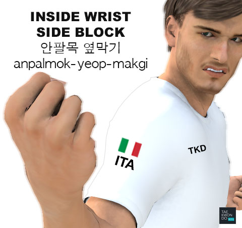 Inside Wrist Side Block ( 안팔목 옆막기 anpalmok-yeop-makgi )