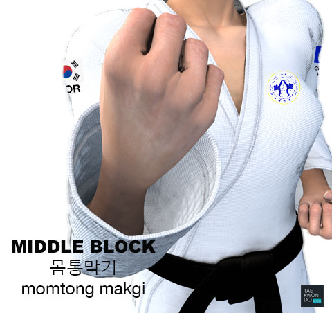 Middle Block ( 몸통막기 momtong makgi )