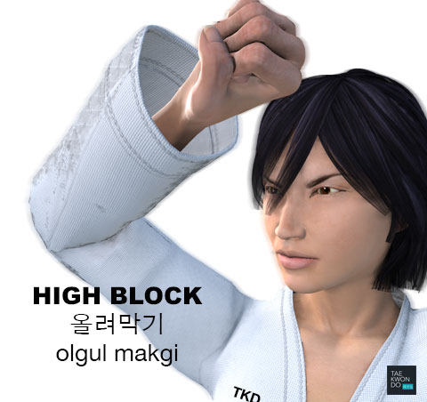 Taekwondo High Block ( 올려막기 olgul makgi )