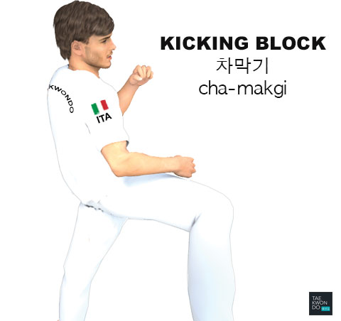 Kicking Block ( 차막기 cha-makgi )