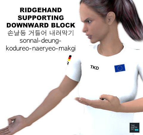 Ridgehand Supporting Downward Block ( 손날등 거들어 내려막기 sonnal-deung-kodureo-naeryeo-makgi )