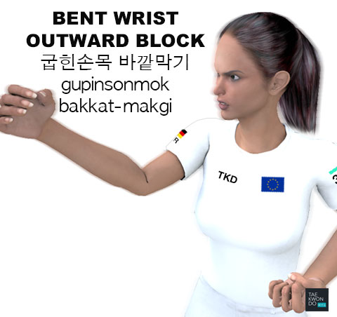 Bent Wrist Outward Block ( 굽힌손목 바깥막기 gupinsonmok-bakkat-makgi )